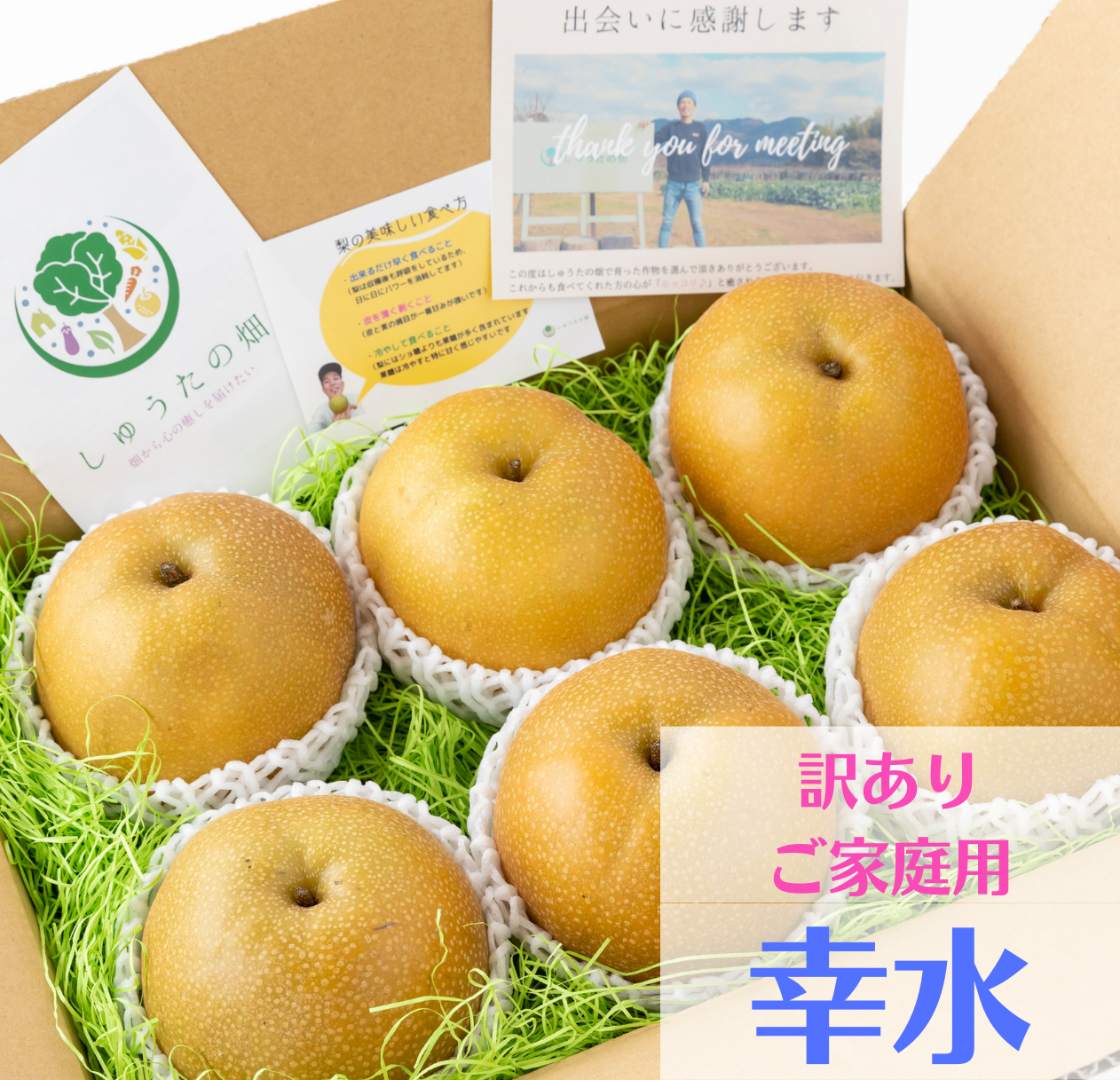 【訳あり品】「幸水」 スッキリ爽やかな甘味♪ 発送は7月下旬頃~ 6~7玉
