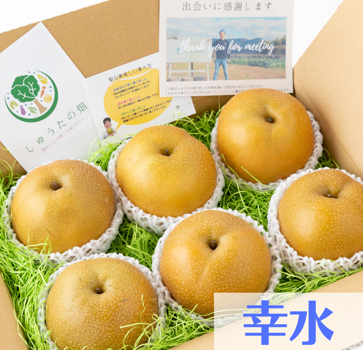 「幸水梨」 スッキリ爽やかな甘味♪ 発送は7月下旬頃~ 6~7玉