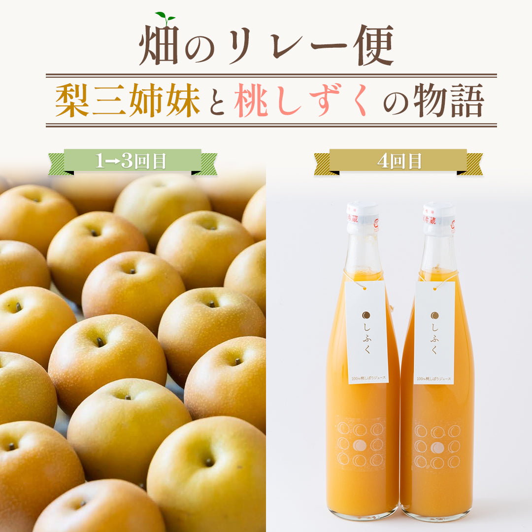 【梨三姉妹と桃しずくの物語】梨3回→桃ジュース2本【4回分の送料込み】