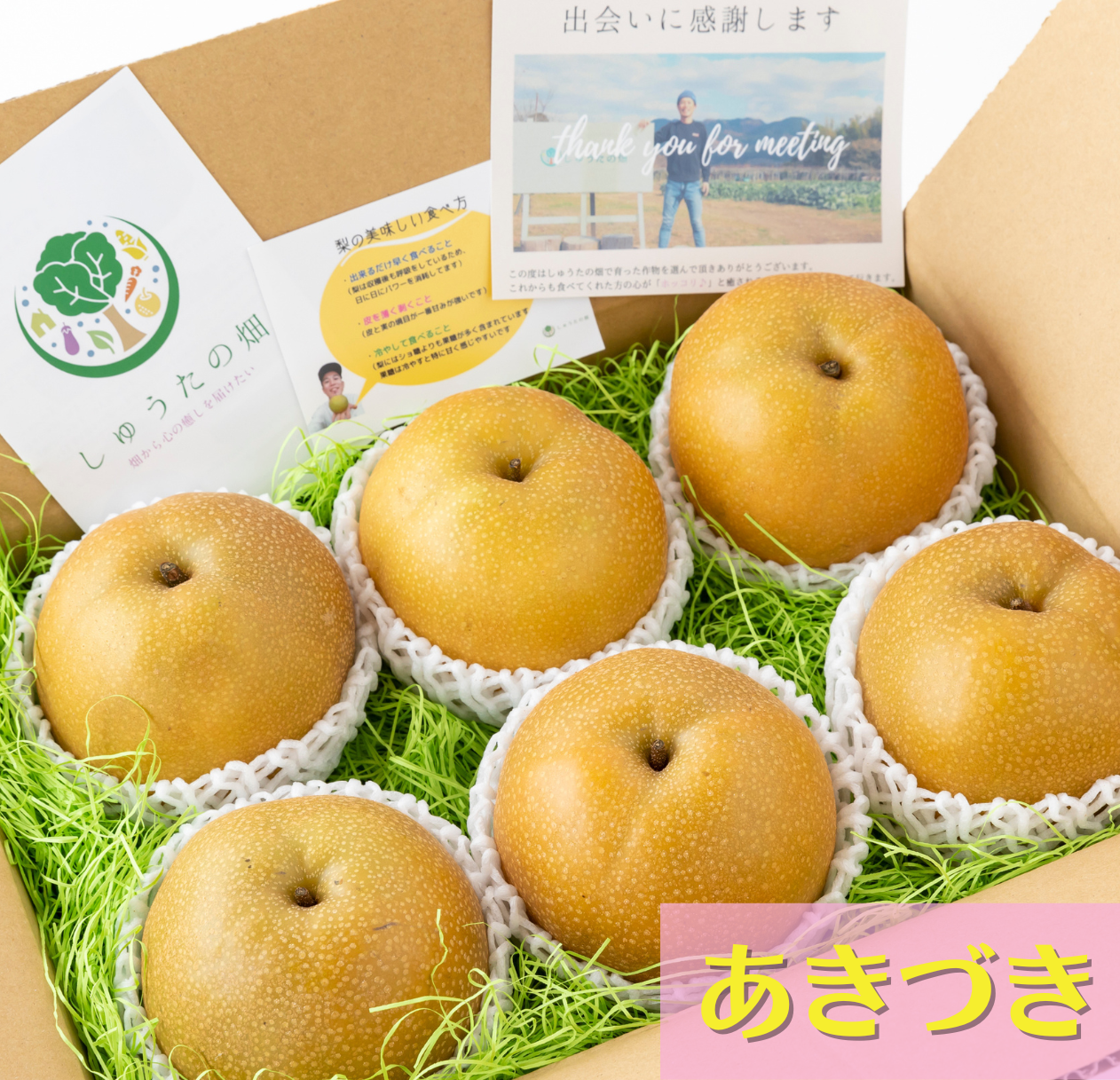 【高級梨】「あきづき」爽やかでスッキリとした上品な甘さ 6~7玉 予約品9月上旬~