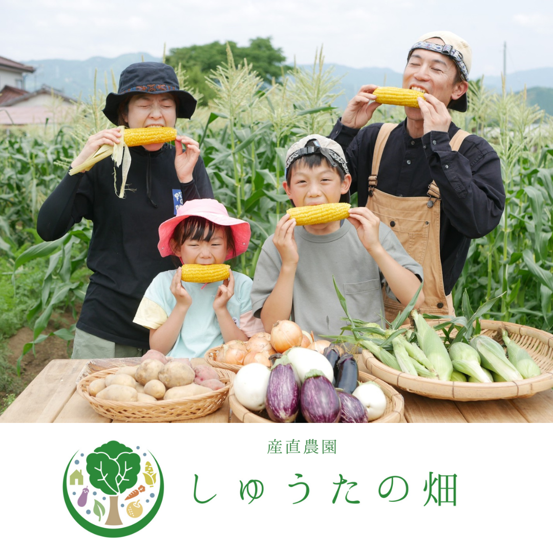 豊水梨 4玉 【お一人様用やお試し品】ジュワ~♪とこぼれる果汁 8月中旬~順次発送開始