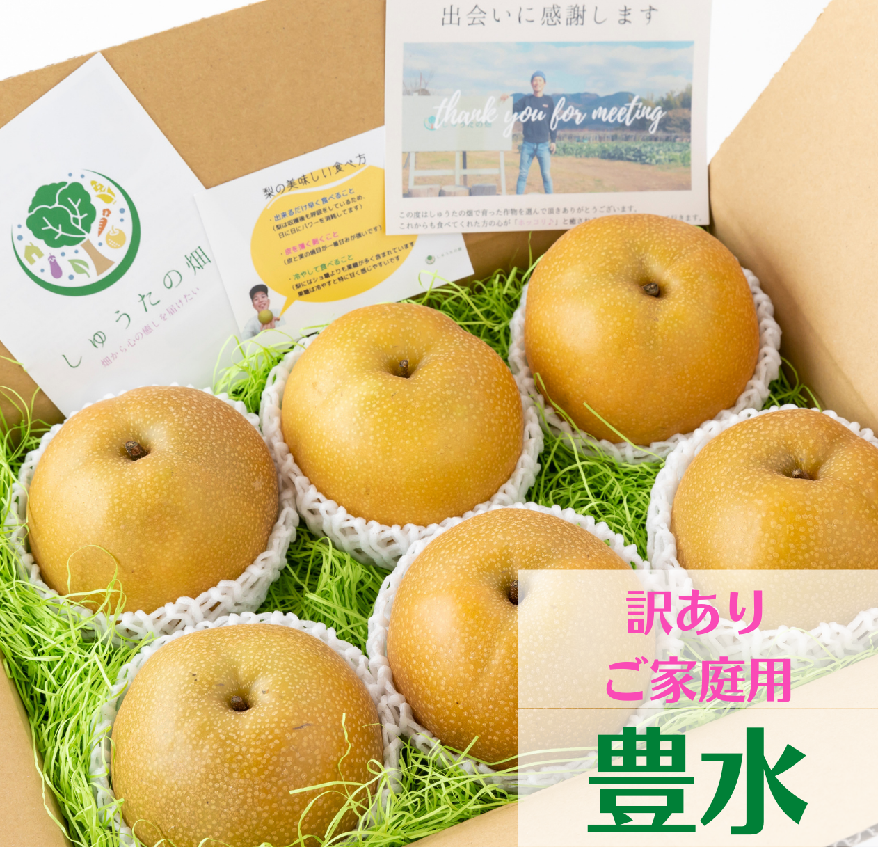 【訳あり品】豊水梨「口の中に果汁がジュワ~♪とこぼれる果汁」8月中旬頃~発送開始。6~7玉
