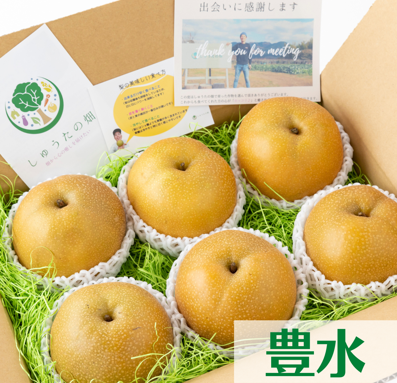 甘くて極上の「豊水梨」ご家族も笑顔がいっぱい♪ 8月中旬頃~発送開始 6~7玉