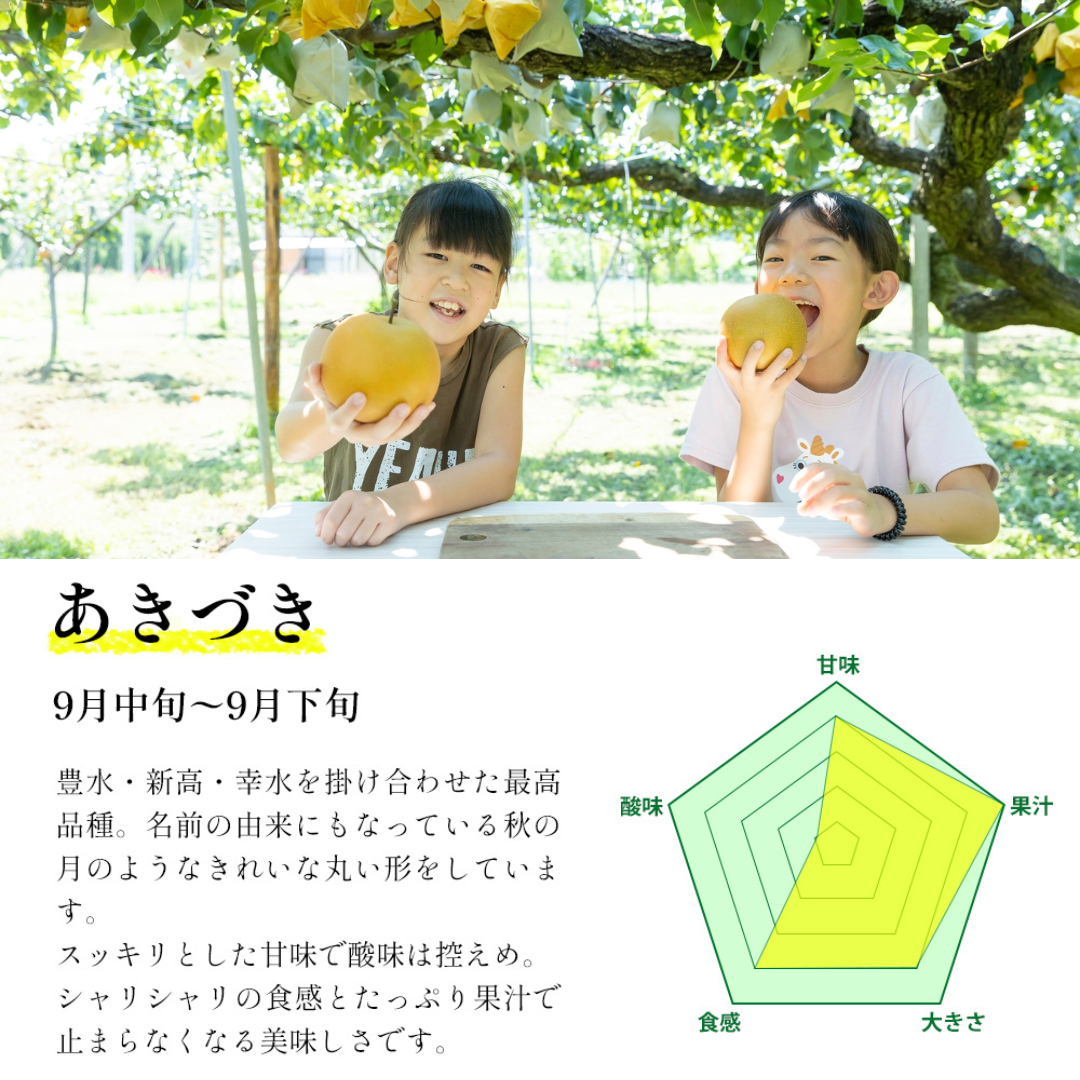 【高級梨】「あきづき」爽やかでスッキリとした上品な甘さ 6~7玉 予約品9月上旬~