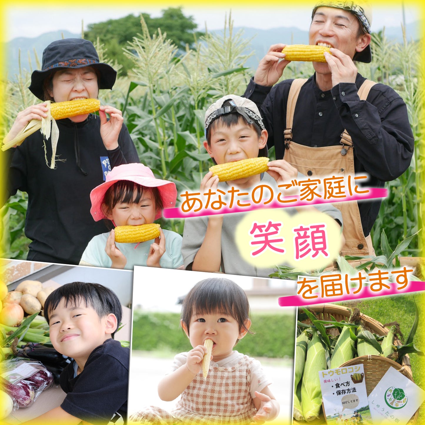 【限定予約品!】あま~い♪超新鮮とうもろこし🌽【10本入り】6月下旬発送 朝採りプリプリのとうもろこしを畑からお届け🌽