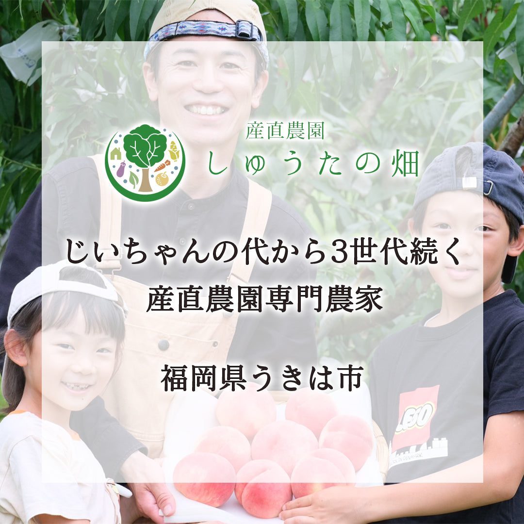 【数量限定品】100%桃しぼりジュース「しふく」1本 桃の果汁だけで作った贅沢な一杯 【8月~順次発送】 賞味期限 2026年8月30日