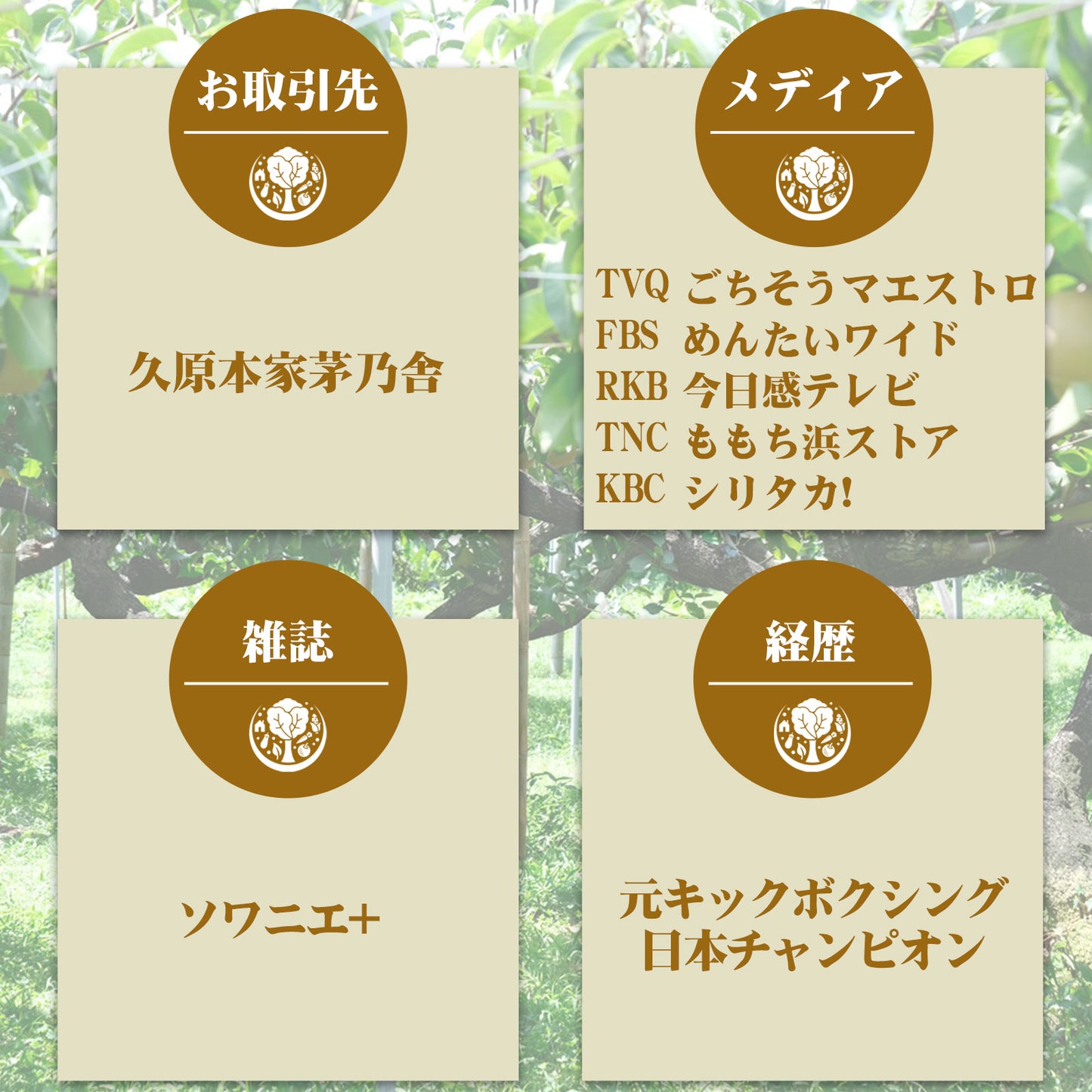 【訳あり品】豊水梨「口の中に果汁がジュワ~♪とこぼれる果汁」8月中旬頃~発送開始。6~7玉