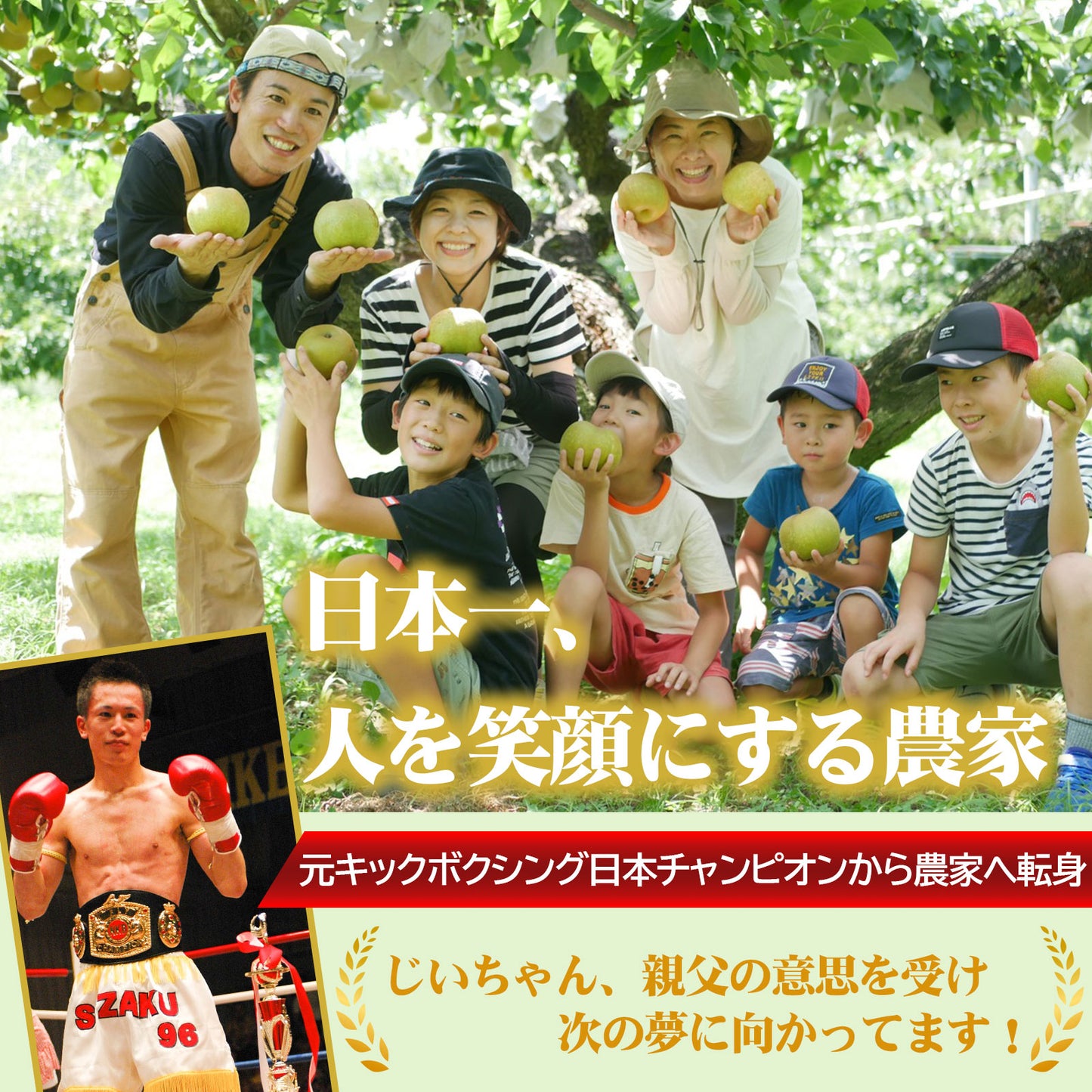 【訳あり品】豊水梨「口の中に果汁がジュワ~♪とこぼれる果汁」8月中旬頃~発送開始。6~7玉