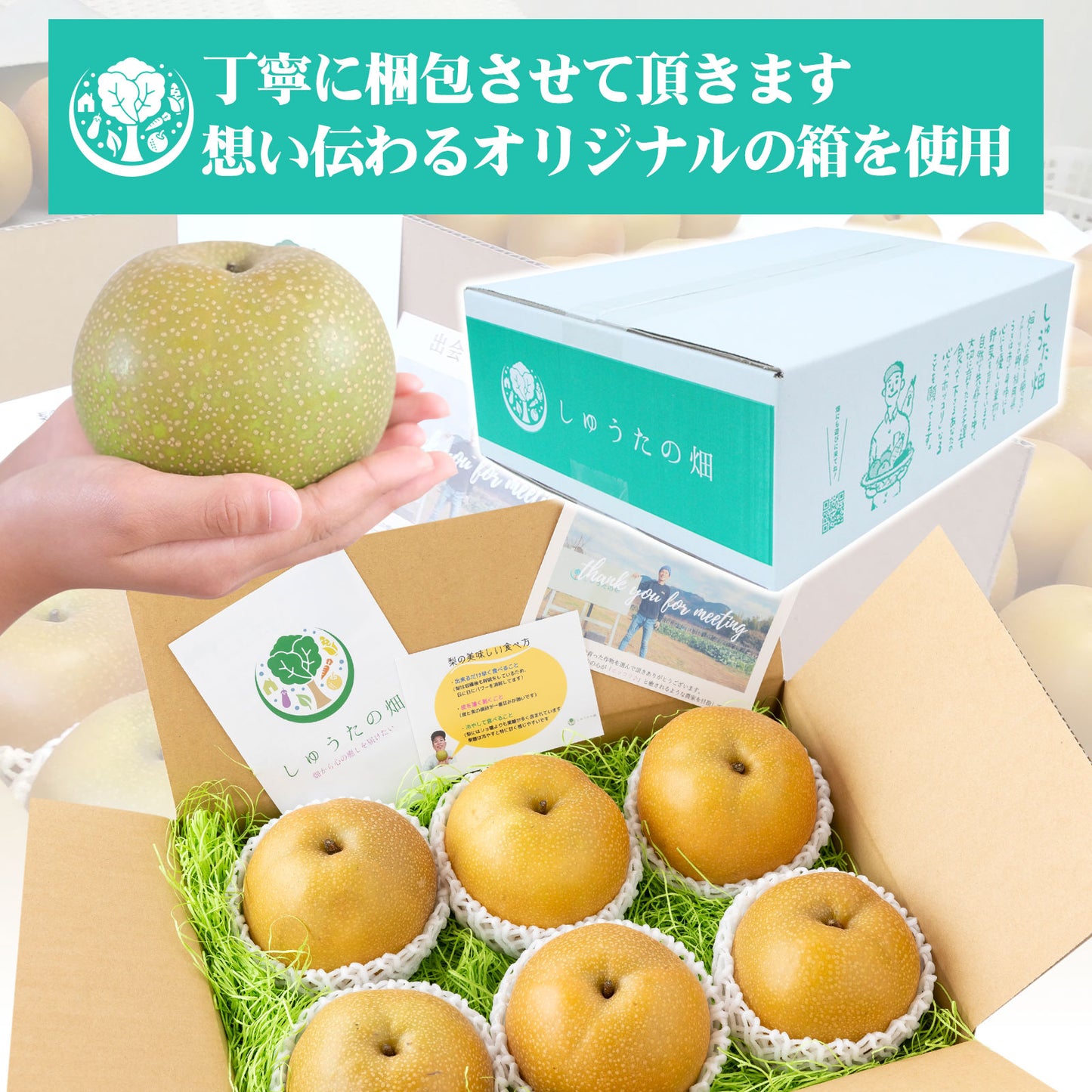 甘くて極上の「豊水梨」ご家族も笑顔がいっぱい♪ 8月中旬頃~発送開始 6~7玉