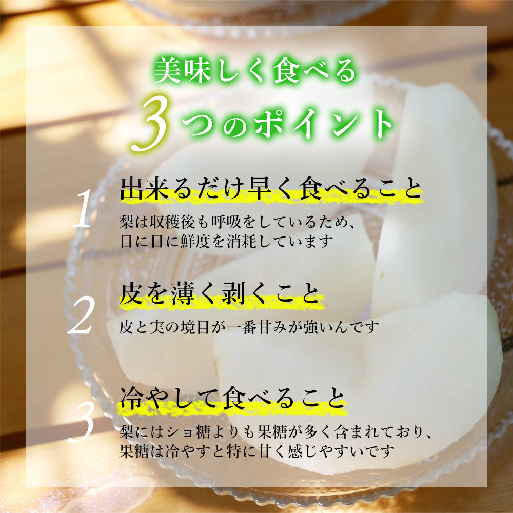 甘くて極上の「豊水梨」ご家族も笑顔がいっぱい♪ 8月中旬頃~発送開始 6~7玉