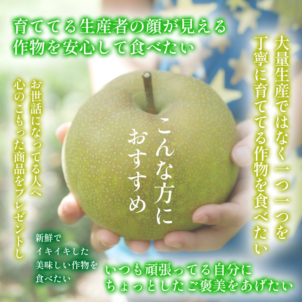 甘くて極上の「豊水梨」ご家族も笑顔がいっぱい♪ 8月中旬頃~発送開始 6~7玉
