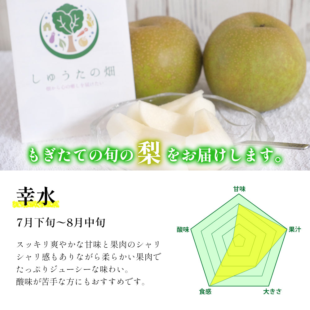 「幸水梨」 スッキリ爽やかな甘味♪ 発送は7月下旬頃~ 6~7玉