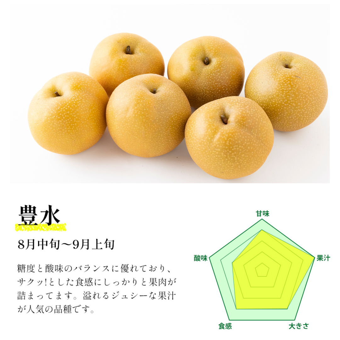 【訳あり品】　豊水梨　４玉　【お一人様用やお試し品】ジュワ～♪とこぼれる果汁　８月中旬～順次発送開始