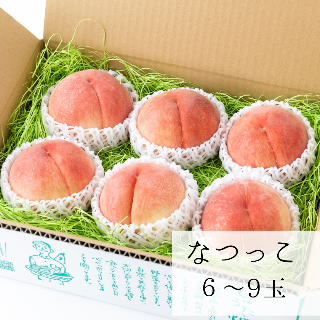 白桃【なつっこ】良品6～9玉　7月下旬頃お届け　甘味、酸味、香りの三拍子をお楽しみ下さい♪