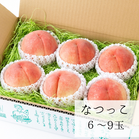 白桃【なつっこ】良品6～9玉　7月下旬頃お届け　甘味、酸味、香りの三拍子をお楽しみ下さい♪