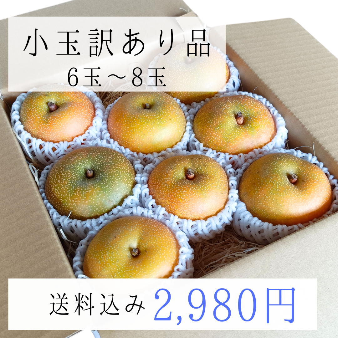 【送料込み】小玉訳あり品　幸水梨6玉～8玉　ご家庭用　キズシミあり