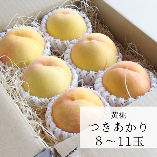黄桃【つきあかり】8玉～11玉　良品　7月下旬頃お届け　黄色い桃！まるでマンゴー！　とろける美味しさ♪