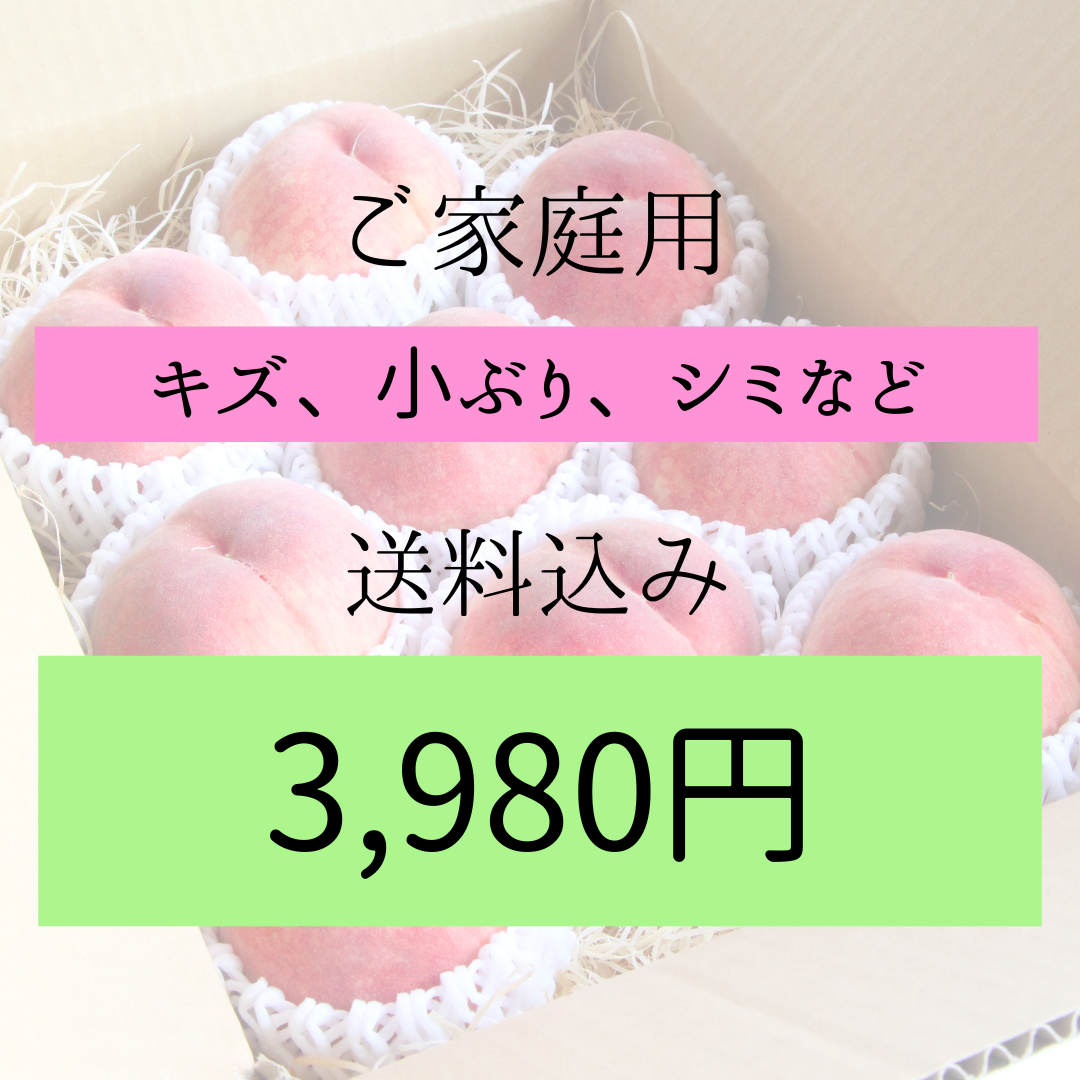 桃【ご家庭用】送料込み！ジュワー♪と果汁こぼれる香り豊かな桃（日川白鳳）