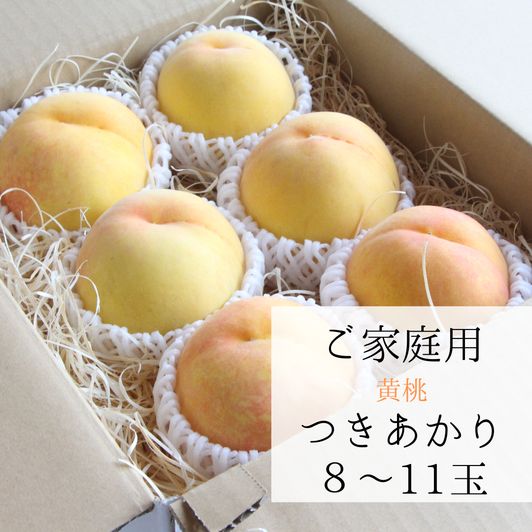 黄桃【つきあかり】８玉～11玉　【訳ありご家庭用】　7月下旬頃お届け　黄色い桃！まるでマンゴー！　とろける美味しさ♪
