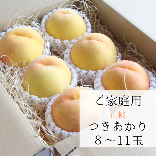 黄桃【つきあかり】８玉～11玉　【訳ありご家庭用】　7月下旬頃お届け　黄色い桃！まるでマンゴー！　とろける美味しさ♪