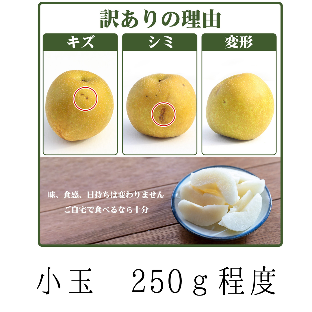 【送料込み】小玉訳あり品　幸水梨6玉～8玉　ご家庭用　キズシミあり