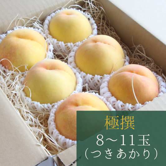 【限定5箱】黄桃【極撰つきあかり】8玉～11玉　7月下旬頃お届け　黄色い桃！まるでマンゴー！　とろける美味しさ