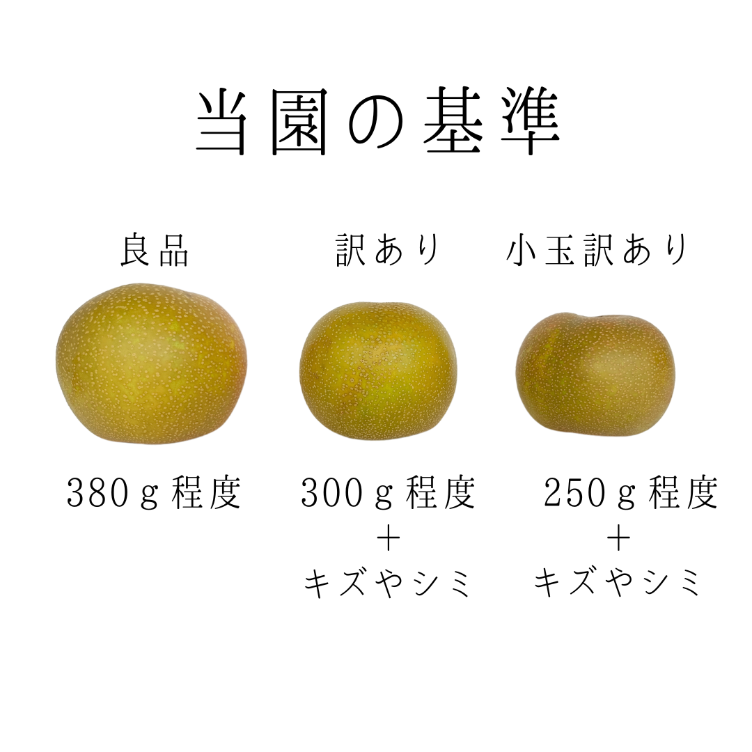 【送料込み】小玉訳あり品　幸水梨6玉～8玉　ご家庭用　キズシミあり