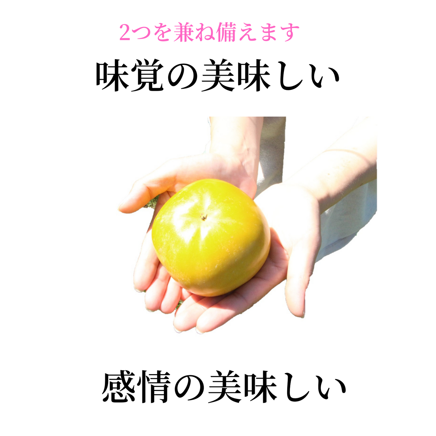 【訳あり品】富有柿　12～15玉【10月下旬～発送】　甘くて濃厚　口に広がる風味豊かな柿♪　これを食べればあなたのパワーも倍増！