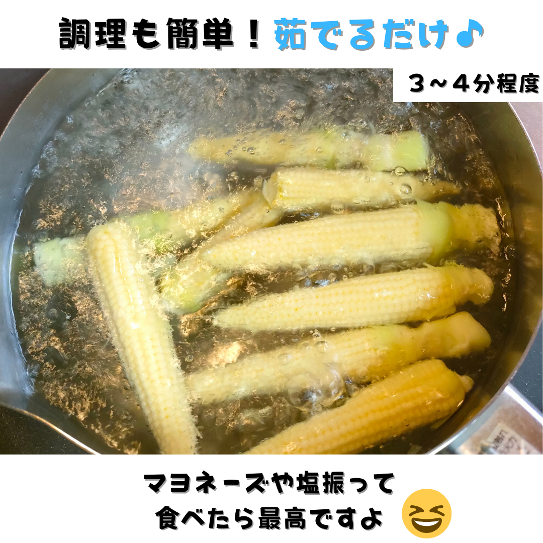 【今の時期 限定！！】旬の朝採り新鮮ヤングコーン 15~20本入り 【送料無料】