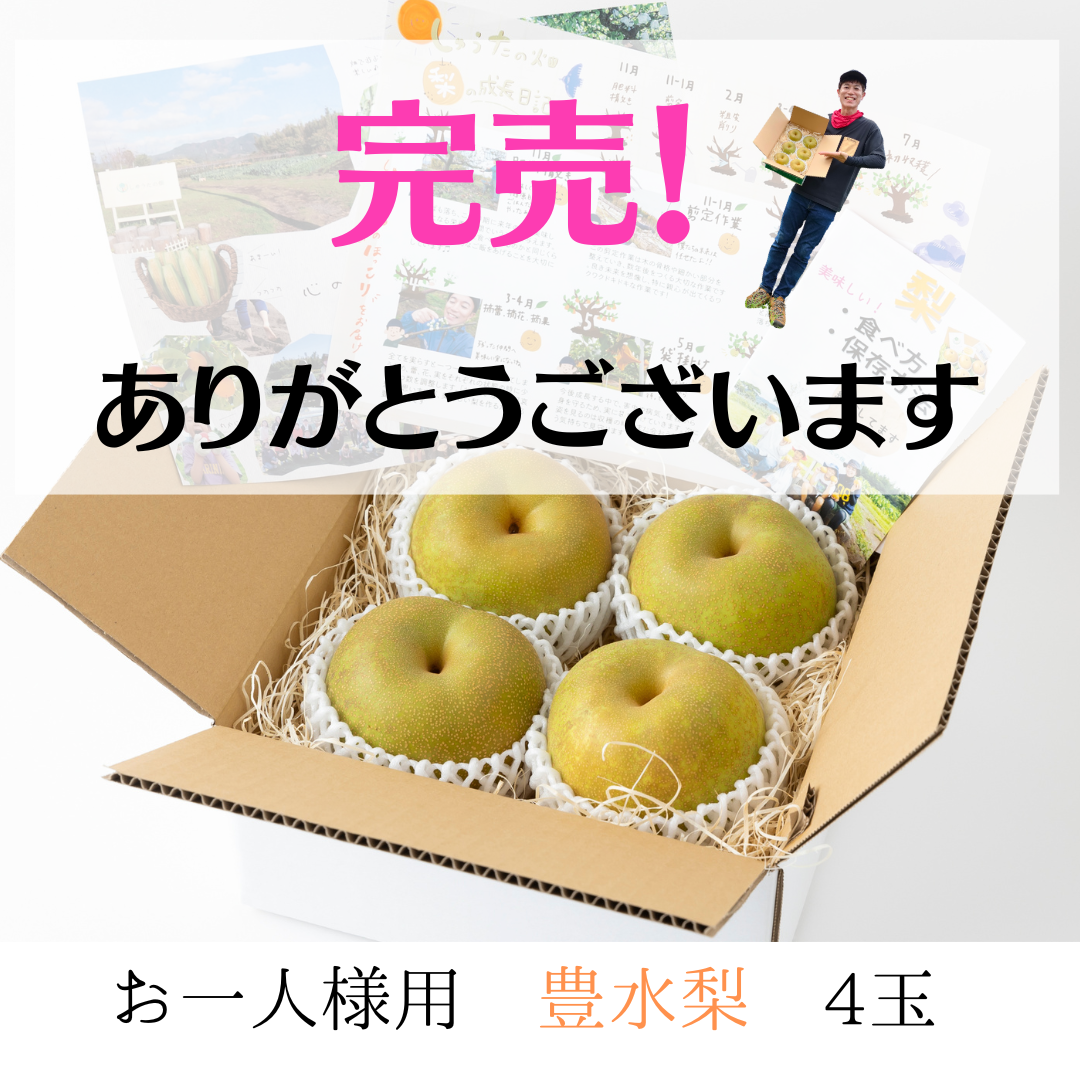 豊水梨　４玉　【お一人様用やお試し品】ジュワ～♪とこぼれる果汁　８月中旬～順次発送開始