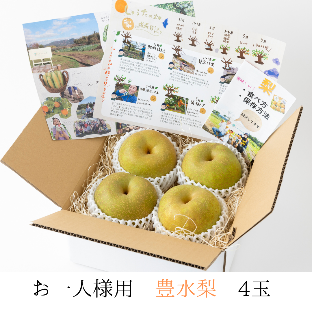 豊水梨　４玉　【お一人様用やお試し品】ジュワ～♪とこぼれる果汁　８月中旬～順次発送開始