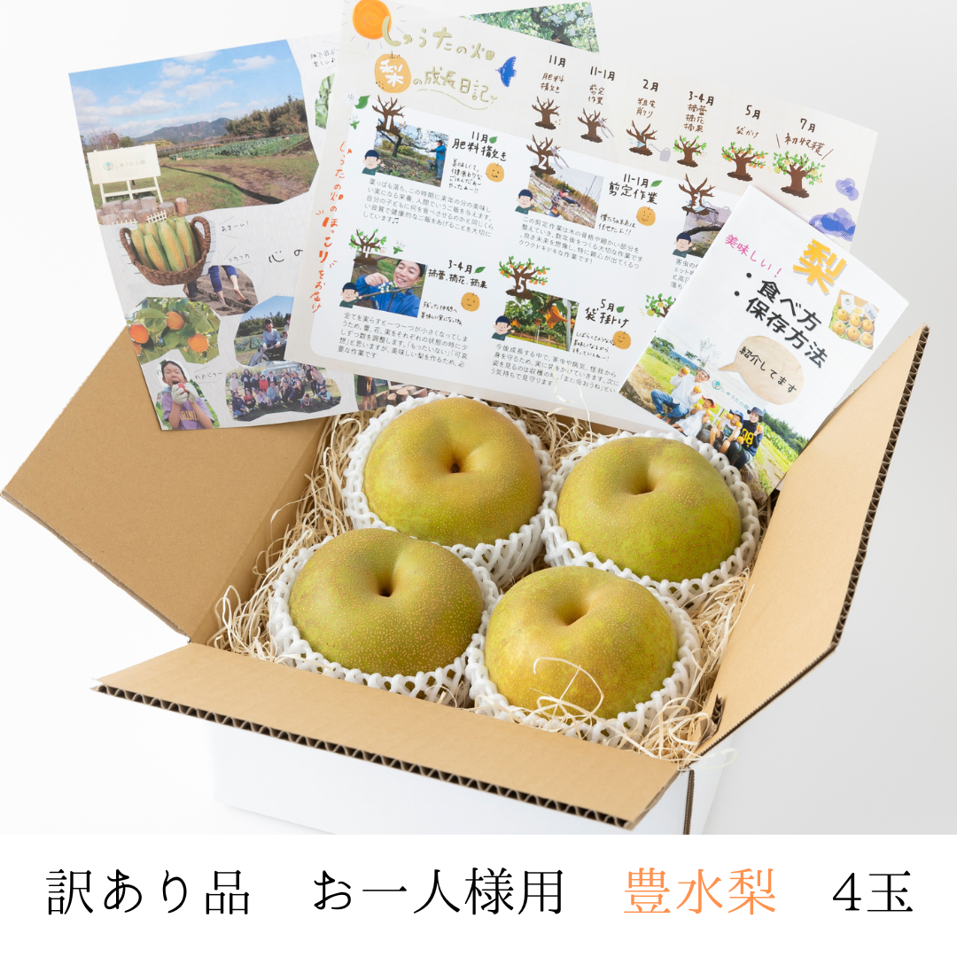【訳あり品】　豊水梨　４玉　【お一人様用やお試し品】ジュワ～♪とこぼれる果汁　８月中旬～順次発送開始