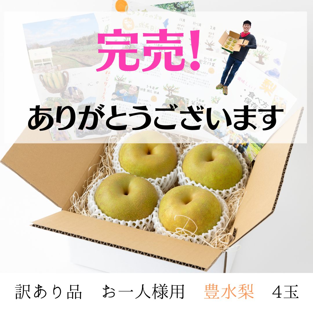 【訳あり品】　豊水梨　４玉　【お一人様用やお試し品】ジュワ～♪とこぼれる果汁　８月中旬～順次発送開始