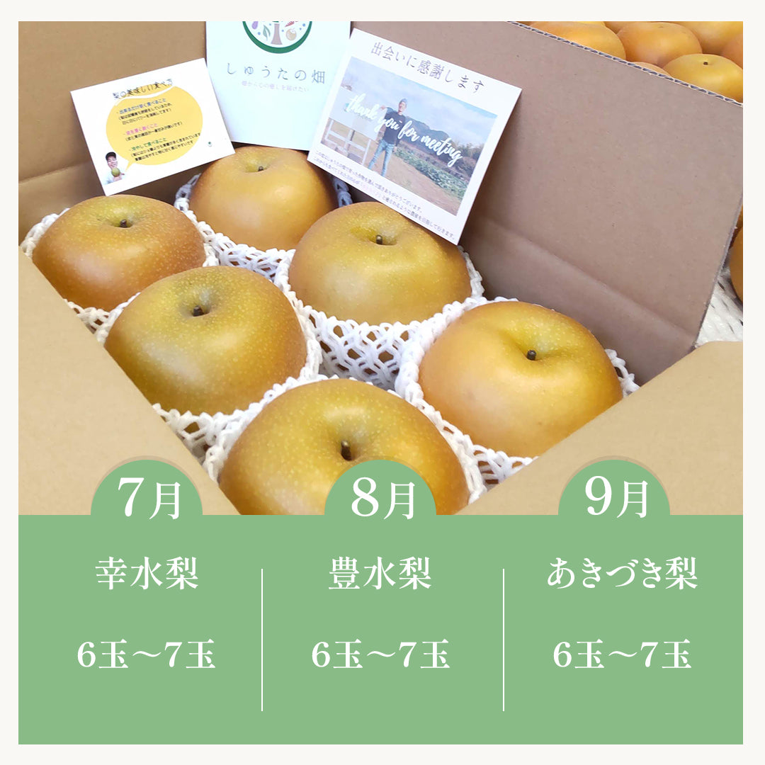 【梨ものがたり便】幸水梨→豊水梨→あきづき梨【3回分の送料込み】「旬の梨が3回届く」