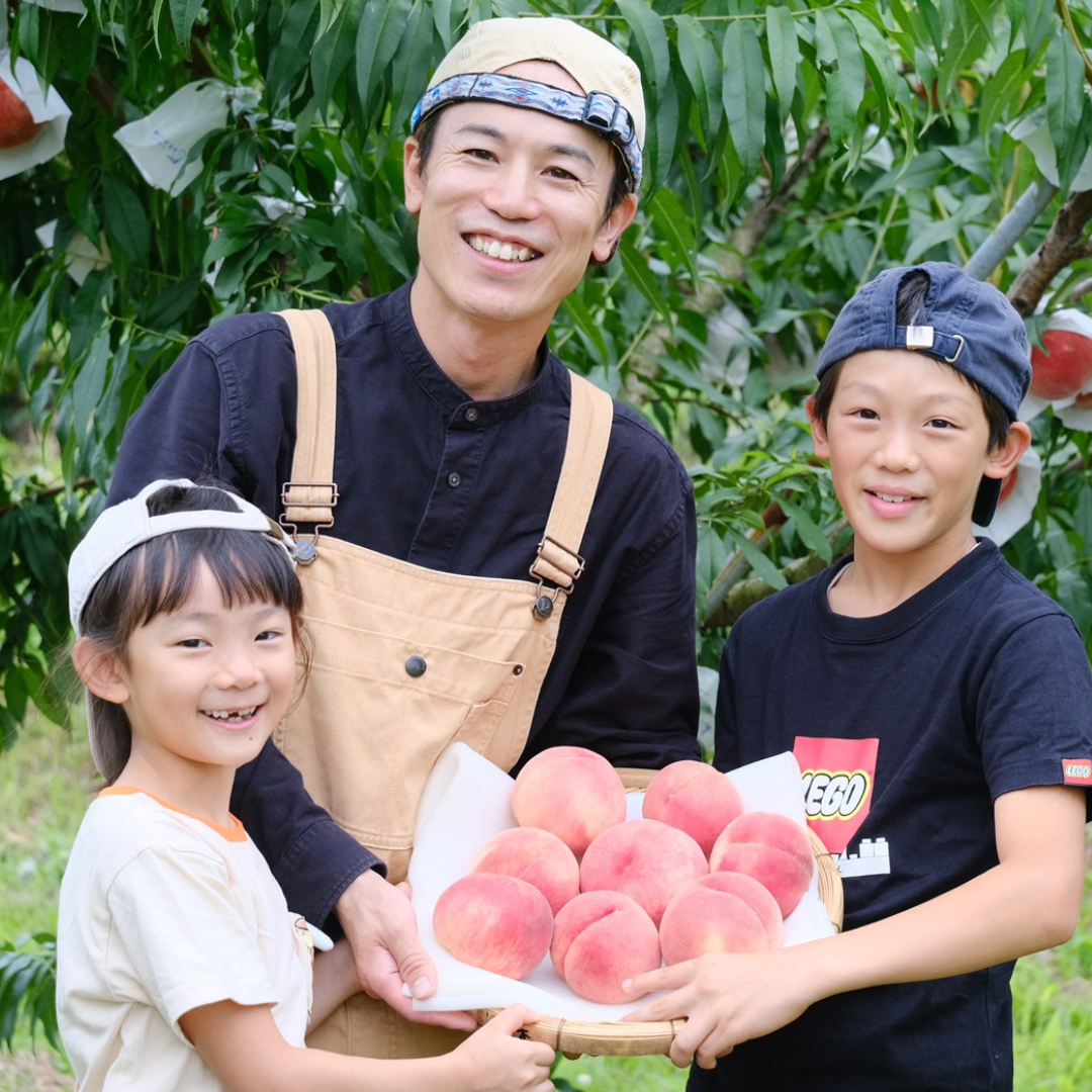 白桃【なつっこ】6～8玉　良品　甘味、酸味、香りの三拍子をお楽しみ下さい♪