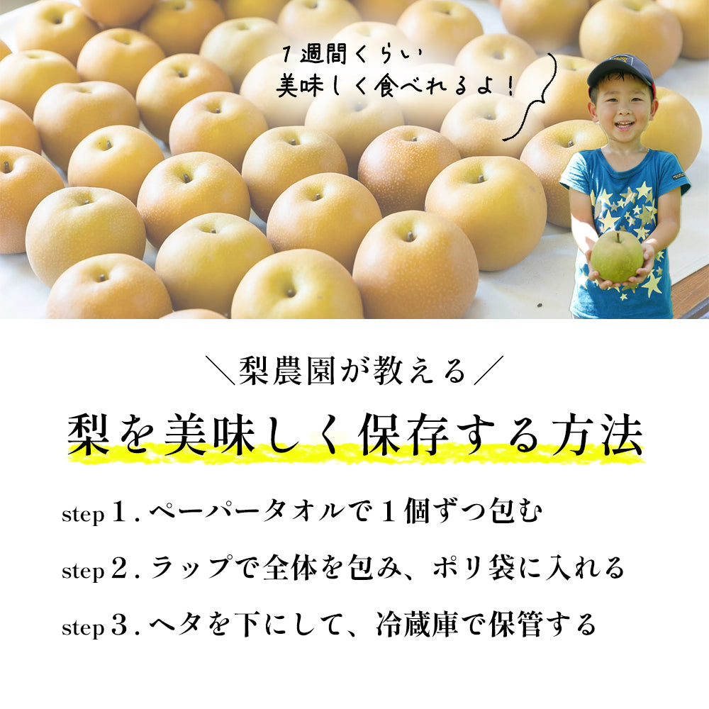 【送料込み】小玉訳あり品　幸水梨6玉～8玉　ご家庭用　キズシミあり