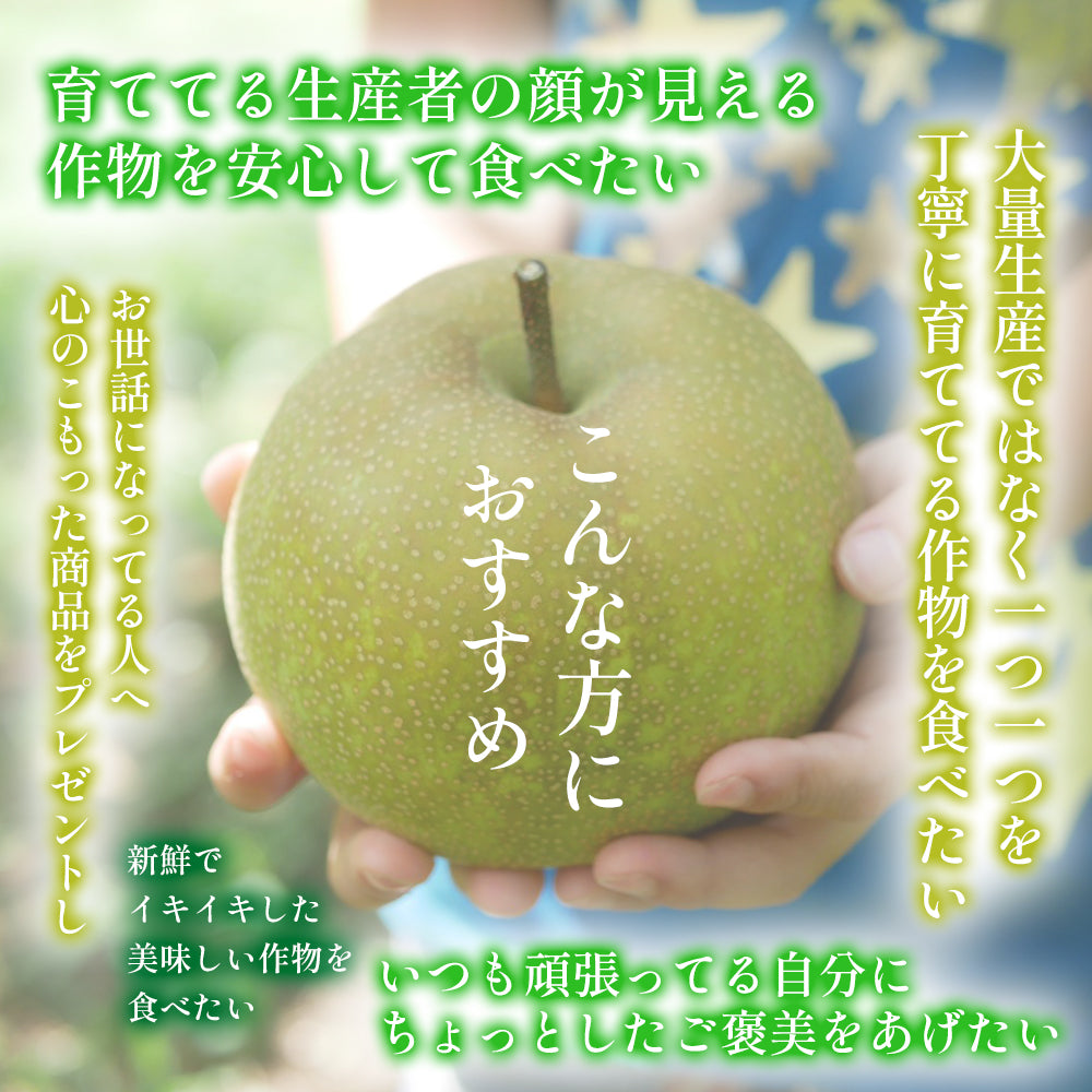 ありがとうを伝える梨BOX♪【高級梨】「あきづき」爽やかでスッキリとした上品な甘さ　6～7玉　予約品9月上旬～