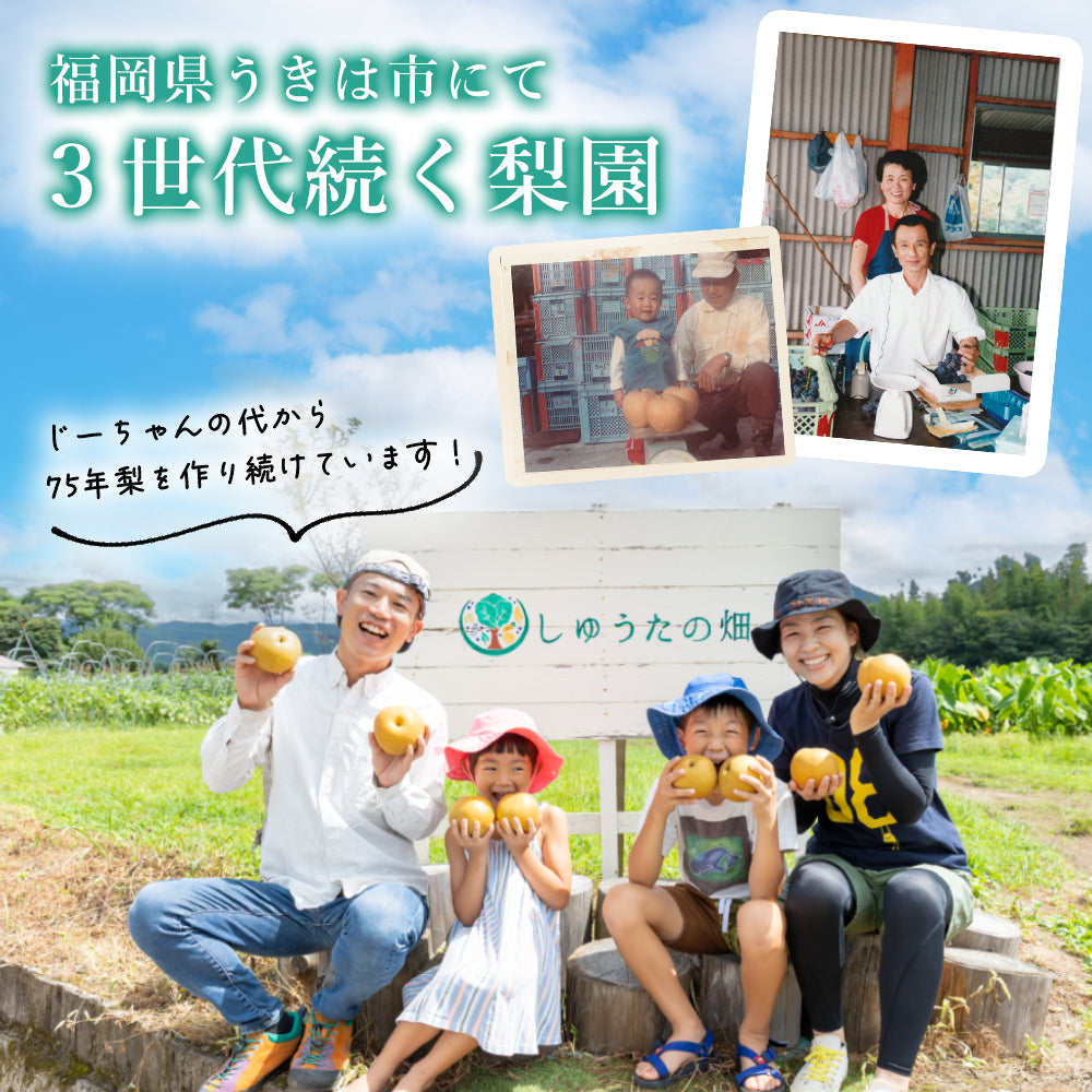 豊水梨　４玉　【お一人様用やお試し品】ジュワ～♪とこぼれる果汁　８月中旬～順次発送開始