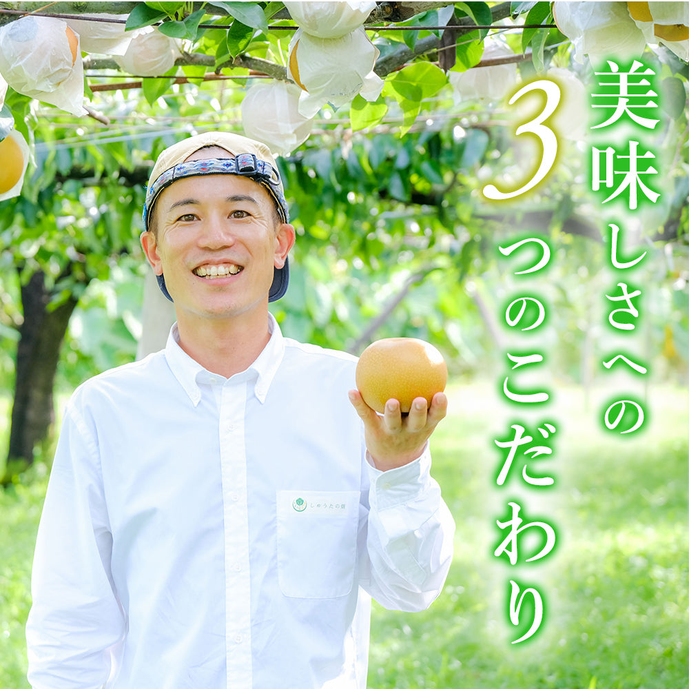 豊水梨　４玉　【お一人様用やお試し品】ジュワ～♪とこぼれる果汁　８月中旬～順次発送開始