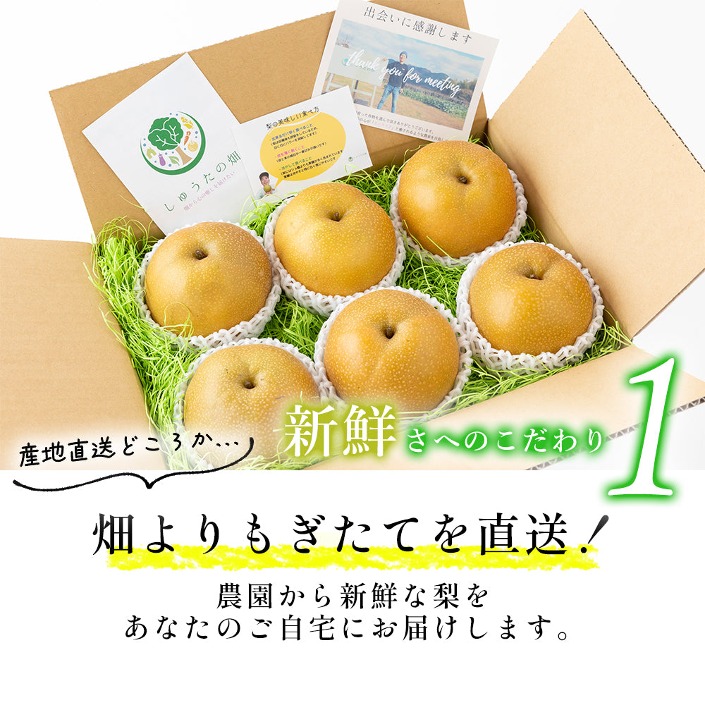 【送料込み】小玉訳あり品　幸水梨6玉～8玉　ご家庭用　キズシミあり